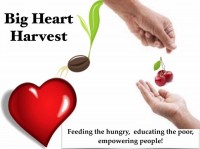 Big Heart Harvest